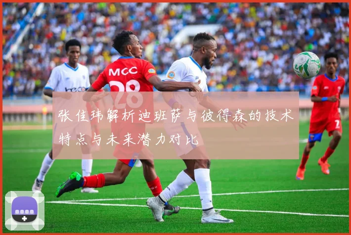 张佳玮解析迪班萨与彼得森的技术特点与未来潜力对比